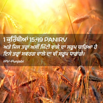 Picture 02 - 1 ਕੁਰਿੰਥੀਆਂ 15:49 PANIRV - ਅਤੇ ਜਿਸ ਤਰ੍ਹਾਂ - Bible Verse Picture