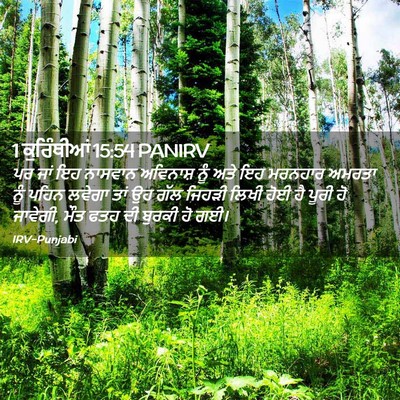Picture 02 - 1 ਕੁਰਿੰਥੀਆਂ 15:54 PANIRV - ਪਰ ਜਾਂ ਇਹ ਨਾਸਵਾਨ - Bible Verse Picture