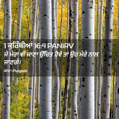 Picture 02 - 1 ਕੁਰਿੰਥੀਆਂ 16:4 PANIRV - ਜੇ ਮੇਰਾ ਵੀ ਜਾਣਾ - Bible Verse Picture
