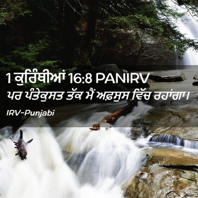 Picture 02 - 1 ਕੁਰਿੰਥੀਆਂ 16:8 PANIRV - ਪਰ ਪੰਤੇਕੁਸਤ ਤੱਕ - Bible Verse Picture