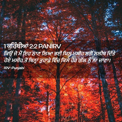 Picture 02 - 1 ਕੁਰਿੰਥੀਆਂ 2:2 PANIRV - ਕਿਉਂ ਜੋ ਮੈਂ ਇਹ ਠਾਣ - Bible Verse Picture