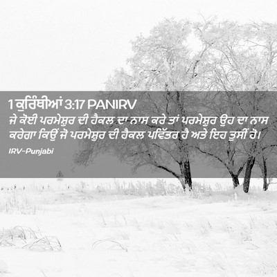 Picture 02 - 1 ਕੁਰਿੰਥੀਆਂ 3:17 PANIRV - ਜੇ ਕੋਈ ਪਰਮੇਸ਼ੁਰ ਦੀ - Bible Verse Picture