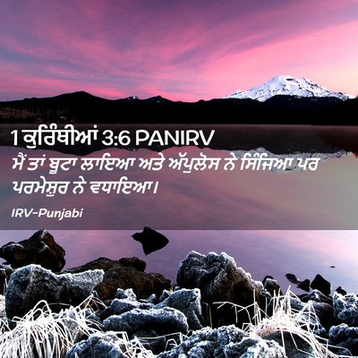 Picture 02 - 1 ਕੁਰਿੰਥੀਆਂ 3:6 PANIRV - ਮੈਂ ਤਾਂ ਬੂਟਾ ਲਾਇਆ - Bible Verse Picture