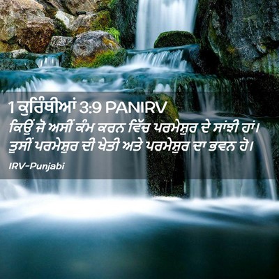 Picture 02 - 1 ਕੁਰਿੰਥੀਆਂ 3:9 PANIRV - ਕਿਉਂ ਜੋ ਅਸੀਂ ਕੰਮ - Bible Verse Picture
