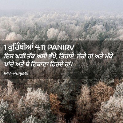Picture 02 - 1 ਕੁਰਿੰਥੀਆਂ 4:11 PANIRV - ਇਸ ਘੜੀ ਤੱਕ ਅਸੀਂ - Bible Verse Picture