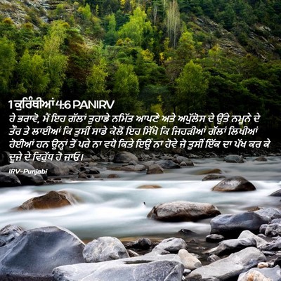 Picture 02 - 1 ਕੁਰਿੰਥੀਆਂ 4:6 PANIRV - ਹੇ ਭਰਾਵੋ, ਮੈਂ ਇਹ - Bible Verse Picture