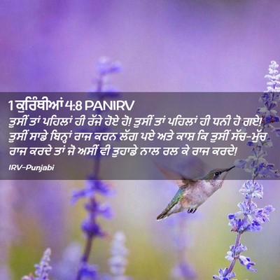 Picture 02 - 1 ਕੁਰਿੰਥੀਆਂ 4:8 PANIRV - ਤੁਸੀਂ ਤਾਂ ਪਹਿਲਾਂ - Bible Verse Picture
