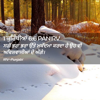 Picture 02 - 1 ਕੁਰਿੰਥੀਆਂ 6:6 PANIRV - ਸਗੋਂ ਭਰਾ ਭਰਾ ਉੱਤੇ - Bible Verse Picture