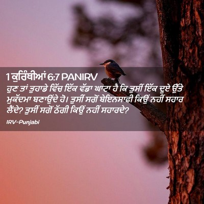 Picture 02 - 1 ਕੁਰਿੰਥੀਆਂ 6:7 PANIRV - ਹੁਣ ਤਾਂ ਤੁਹਾਡੇ - Bible Verse Picture