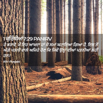Picture 02 - 1 ਕੁਰਿੰਥੀਆਂ 7:29 PANIRV - ਹੇ ਭਰਾਵੋ, ਮੈਂ ਇਹ - Bible Verse Picture