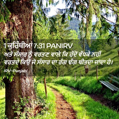 Picture 02 - 1 ਕੁਰਿੰਥੀਆਂ 7:31 PANIRV - ਅਤੇ ਸੰਸਾਰ ਨੂੰ ਵਰਤਣ - Bible Verse Picture