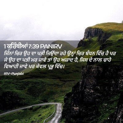 Picture 02 - 1 ਕੁਰਿੰਥੀਆਂ 7:39 PANIRV - ਜਿੰਨਾਂ ਚਿਰ ਉਹ ਦਾ - Bible Verse Picture