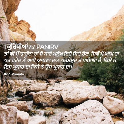 Picture 02 - 1 ਕੁਰਿੰਥੀਆਂ 7:7 PANIRV - ਤਾਂ ਵੀ ਮੈਂ ਚਾਹੁੰਦਾ - Bible Verse Picture