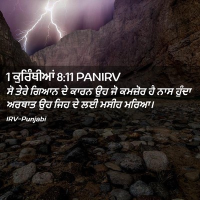 Picture 02 - 1 ਕੁਰਿੰਥੀਆਂ 8:11 PANIRV - ਸੋ ਤੇਰੇ ਗਿਆਨ ਦੇ - Bible Verse Picture