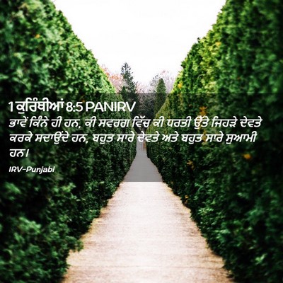 Picture 02 - 1 ਕੁਰਿੰਥੀਆਂ 8:5 PANIRV - ਭਾਵੇਂ ਕਿੰਨੇ ਹੀ ਹਨ, - Bible Verse Picture