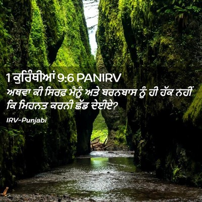 Picture 02 - 1 ਕੁਰਿੰਥੀਆਂ 9:6 PANIRV - ਅਥਵਾ ਕੀ ਸਿਰਫ਼ - Bible Verse Picture