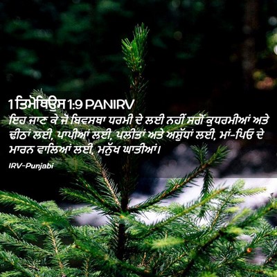 Picture 02 - 1 ਤਿਮੋਥਿਉਸ 1:9 PANIRV - ਇਹ ਜਾਣ ਕੇ ਜੋ ਬਿਵਸਥਾ - Bible Verse Picture