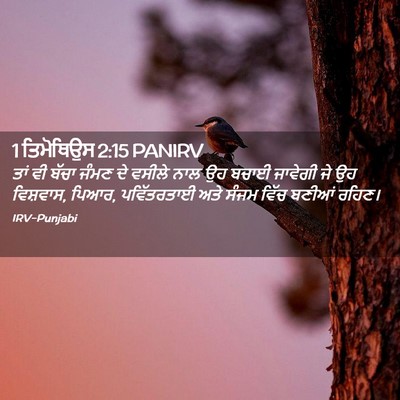 Picture 02 - 1 ਤਿਮੋਥਿਉਸ 2:15 PANIRV - ਤਾਂ ਵੀ ਬੱਚਾ ਜੰਮਣ ਦੇ - Bible Verse Picture