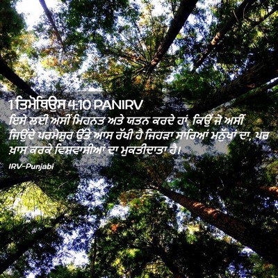 Picture 02 - 1 ਤਿਮੋਥਿਉਸ 4:10 PANIRV - ਇਸੇ ਲਈ ਅਸੀਂ ਮਿਹਨਤ - Bible Verse Picture
