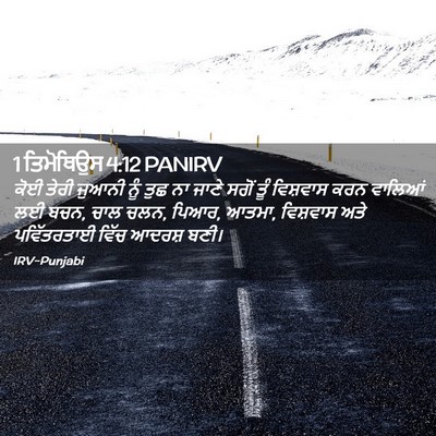 Picture 02 - 1 ਤਿਮੋਥਿਉਸ 4:12 PANIRV - ਕੋਈ ਤੇਰੀ ਜੁਆਨੀ ਨੂੰ - Bible Verse Picture