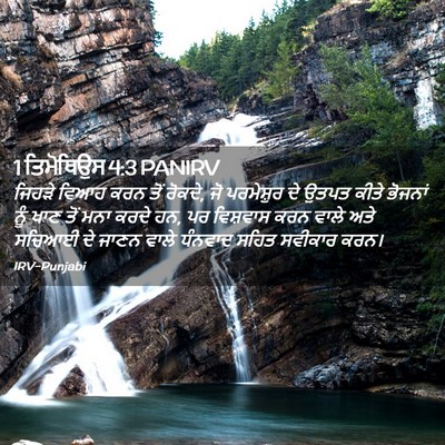 Picture 02 - 1 ਤਿਮੋਥਿਉਸ 4:3 PANIRV - ਜਿਹੜੇ ਵਿਆਹ ਕਰਨ ਤੋਂ - Bible Verse Picture