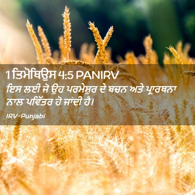 Picture 02 - 1 ਤਿਮੋਥਿਉਸ 4:5 PANIRV - ਇਸ ਲਈ ਜੋ ਉਹ - Bible Verse Picture