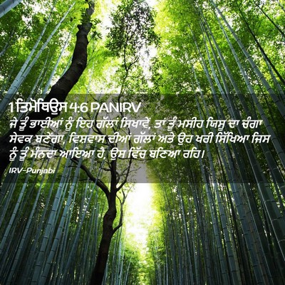 Picture 02 - 1 ਤਿਮੋਥਿਉਸ 4:6 PANIRV - ਜੇ ਤੂੰ ਭਾਈਆਂ ਨੂੰ ਇਹ - Bible Verse Picture