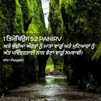 Picture 02 - 1 ਤਿਮੋਥਿਉਸ 5:2 PANIRV - ਅਤੇ ਬੁੱਢੀਆਂ ਔਰਤਾਂ - Bible Verse Picture