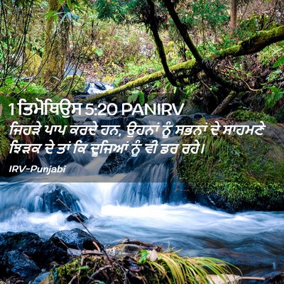 Picture 02 - 1 ਤਿਮੋਥਿਉਸ 5:20 PANIRV - ਜਿਹੜੇ ਪਾਪ ਕਰਦੇ ਹਨ, - Bible Verse Picture