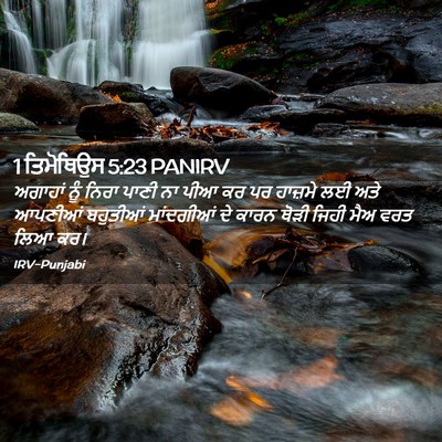 Picture 02 - 1 ਤਿਮੋਥਿਉਸ 5:23 PANIRV - ਅਗਾਹਾਂ ਨੂੰ ਨਿਰਾ - Bible Verse Picture