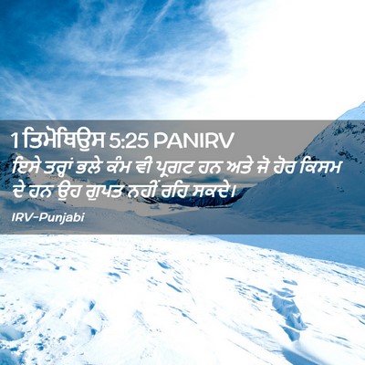 Picture 02 - 1 ਤਿਮੋਥਿਉਸ 5:25 PANIRV - ਇਸੇ ਤਰ੍ਹਾਂ ਭਲੇ ਕੰਮ - Bible Verse Picture