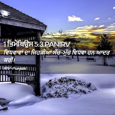 Picture 02 - 1 ਤਿਮੋਥਿਉਸ 5:3 PANIRV - ਵਿਧਵਾਵਾਂ ਦਾ - Bible Verse Picture