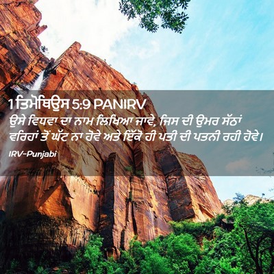 Picture 02 - 1 ਤਿਮੋਥਿਉਸ 5:9 PANIRV - ਉਸੇ ਵਿਧਵਾ ਦਾ ਨਾਮ - Bible Verse Picture