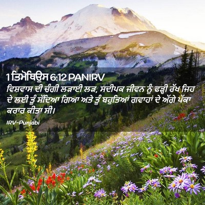 Picture 02 - 1 ਤਿਮੋਥਿਉਸ 6:12 PANIRV - ਵਿਸ਼ਵਾਸ ਦੀ ਚੰਗੀ - Bible Verse Picture