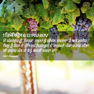 Picture 02 - 1 ਤਿਮੋਥਿਉਸ 6:13 PANIRV - ਮੈਂ ਪਰਮੇਸ਼ੁਰ ਨੂੰ, - Bible Verse Picture