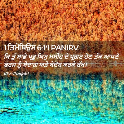 Picture 02 - 1 ਤਿਮੋਥਿਉਸ 6:14 PANIRV - ਕਿ ਤੂੰ ਸਾਡੇ ਪ੍ਰਭੂ - Bible Verse Picture