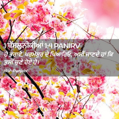 Picture 02 - 1 ਥੱਸਲੁਨੀਕੀਆਂ 1:4 PANIRV - ਹੇ ਭਰਾਵੋ, ਪਰਮੇਸ਼ੁਰ - Bible Verse Picture