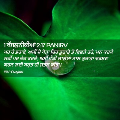 Picture 02 - 1 ਥੱਸਲੁਨੀਕੀਆਂ 2:17 PANIRV - ਪਰ ਹੇ ਭਰਾਵੋ, ਅਸੀਂ - Bible Verse Picture