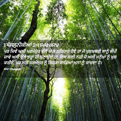 Picture 02 - 1 ਥੱਸਲੁਨੀਕੀਆਂ 2:4 PANIRV - ਪਰ ਜਿਵੇਂ ਅਸੀਂ - Bible Verse Picture