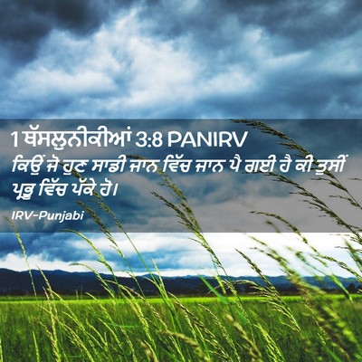 Picture 02 - 1 ਥੱਸਲੁਨੀਕੀਆਂ 3:8 PANIRV - ਕਿਉਂ ਜੋ ਹੁਣ ਸਾਡੀ - Bible Verse Picture