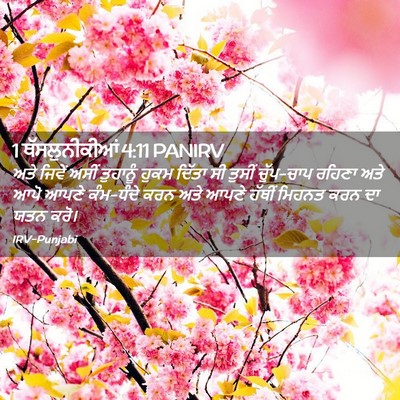 Picture 02 - 1 ਥੱਸਲੁਨੀਕੀਆਂ 4:11 PANIRV - ਅਤੇ ਜਿਵੇਂ ਅਸੀਂ - Bible Verse Picture