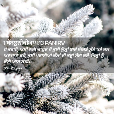 Picture 02 - 1 ਥੱਸਲੁਨੀਕੀਆਂ 4:13 PANIRV - ਹੇ ਭਰਾਵੋ, ਅਸੀਂ ਨਹੀਂ - Bible Verse Picture