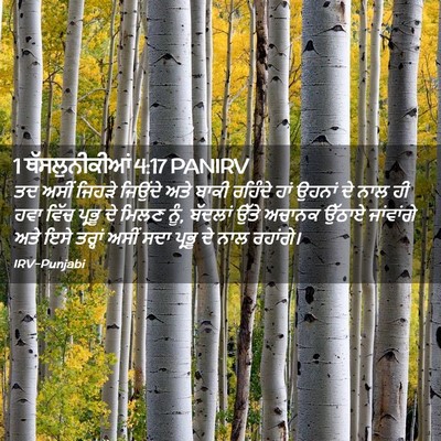 Picture 02 - 1 ਥੱਸਲੁਨੀਕੀਆਂ 4:17 PANIRV - ਤਦ ਅਸੀਂ ਜਿਹੜੇ - Bible Verse Picture
