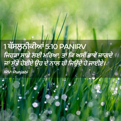 Picture 02 - 1 ਥੱਸਲੁਨੀਕੀਆਂ 5:10 PANIRV - ਜਿਹੜਾ ਸਾਡੇ ਲਈ ਮਰਿਆ, - Bible Verse Picture