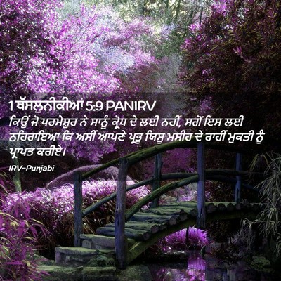Picture 02 - 1 ਥੱਸਲੁਨੀਕੀਆਂ 5:9 PANIRV - ਕਿਉਂ ਜੋ ਪਰਮੇਸ਼ੁਰ - Bible Verse Picture