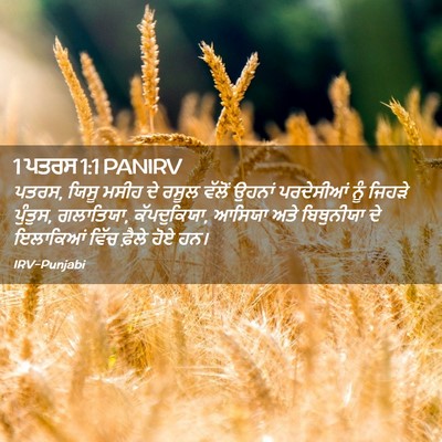 Picture 02 - 1 ਪਤਰਸ 1:1 PANIRV - ਪਤਰਸ, ਯਿਸੂ ਮਸੀਹ ਦੇ - Bible Verse Picture