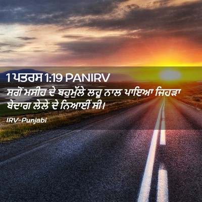 Picture 02 - 1 ਪਤਰਸ 1:19 PANIRV - ਸਗੋਂ ਮਸੀਹ ਦੇ - Bible Verse Picture