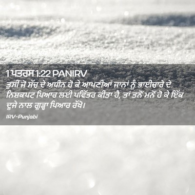 Picture 02 - 1 ਪਤਰਸ 1:22 PANIRV - ਤੁਸੀਂ ਜੋ ਸੱਚ ਦੇ - Bible Verse Picture
