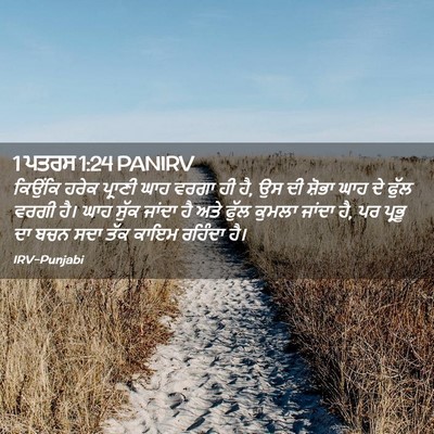 Picture 02 - 1 ਪਤਰਸ 1:24 PANIRV - ਕਿਉਂਕਿ ਹਰੇਕ - Bible Verse Picture
