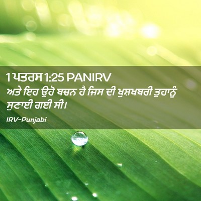 Picture 02 - 1 ਪਤਰਸ 1:25 PANIRV - ਅਤੇ ਇਹ ਉਹੋ ਬਚਨ ਹੈ - Bible Verse Picture